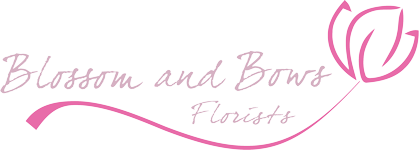 Blossom and bows logo
